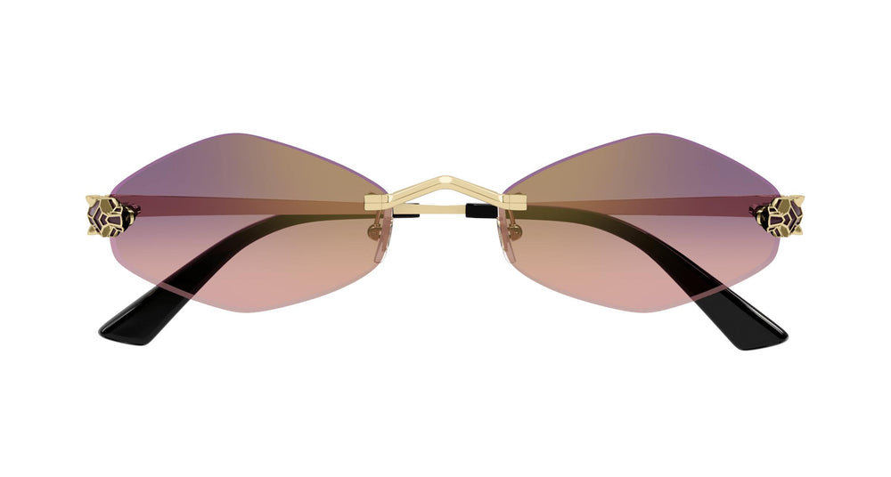 Cartier CT0433S 004 55