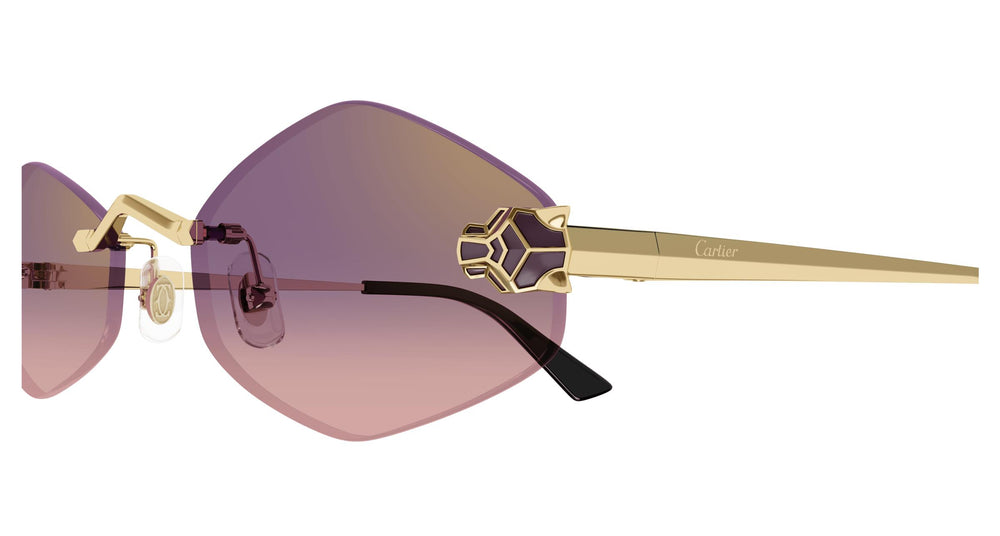 Cartier CT0433S 004 55
