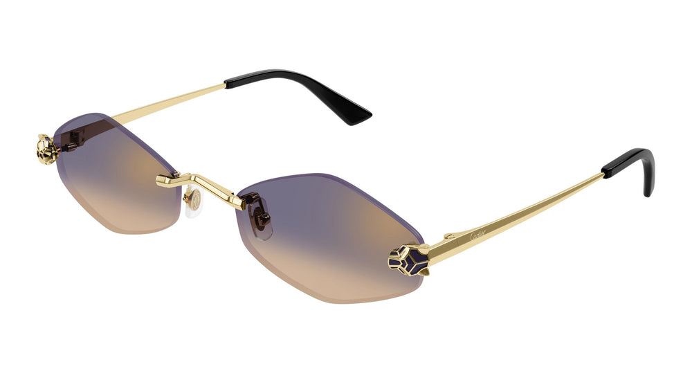 Cartier CT0433S 005 55