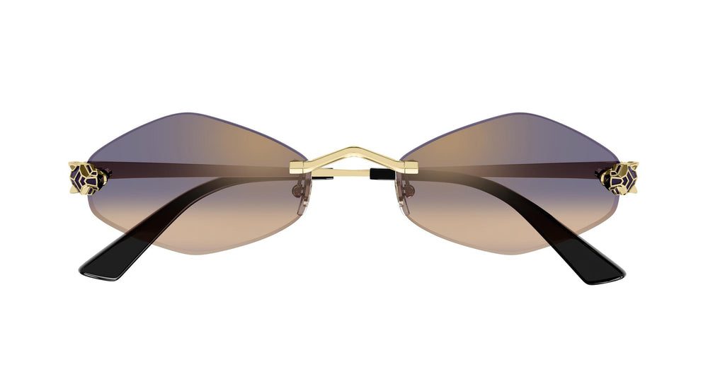 Cartier CT0433S 005 55