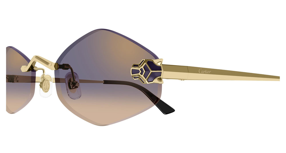 Cartier CT0433S 005 55