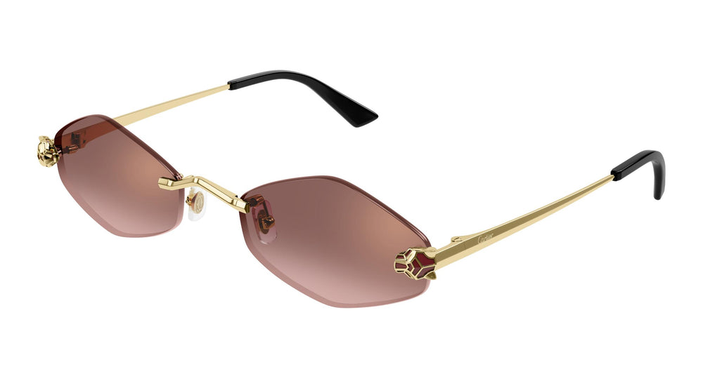 Cartier CT0433S 006 55
