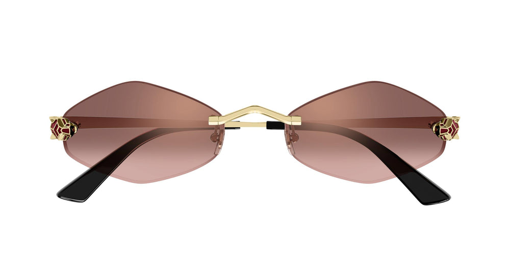 Cartier CT0433S 006 55