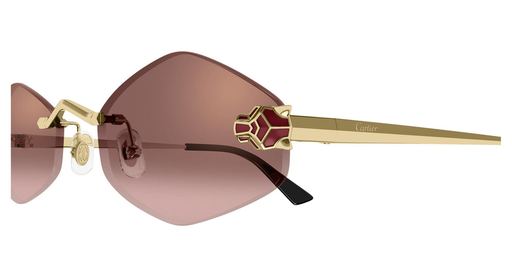 Cartier CT0433S 006 55