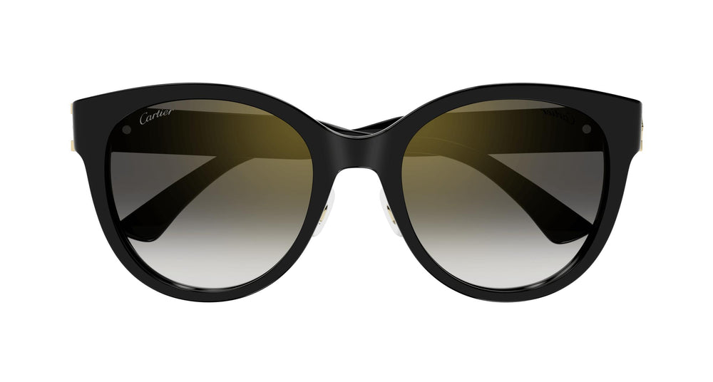 Cartier CT0438SA 001 56