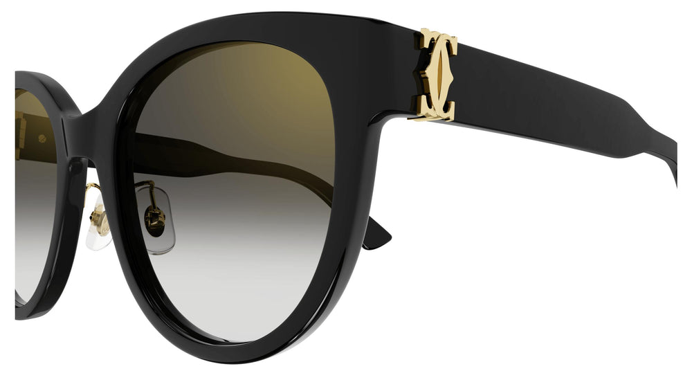 Cartier CT0438SA 001 56