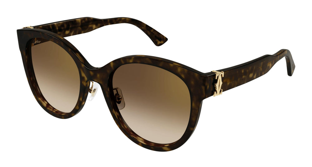Cartier CT0438SA 002 56