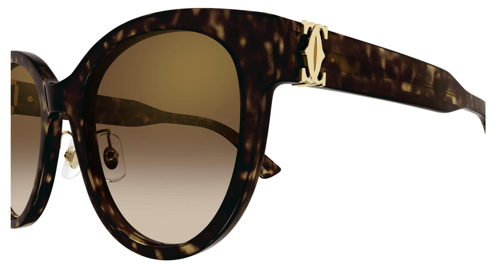 Cartier CT0438SA 002 56