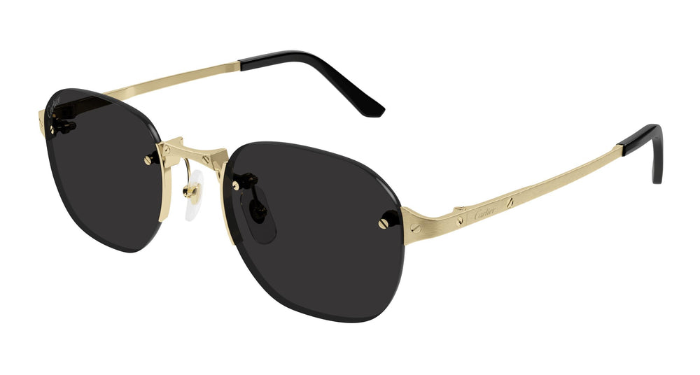 Cartier CT0459S 001 51