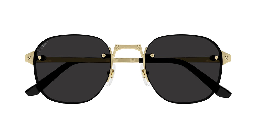 Cartier CT0459S 001 51