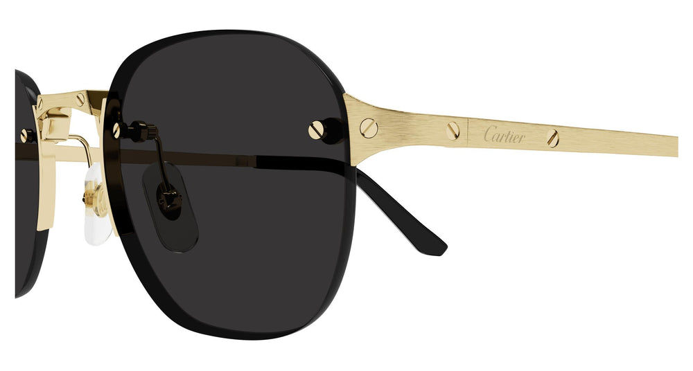 Cartier CT0459S 001 51