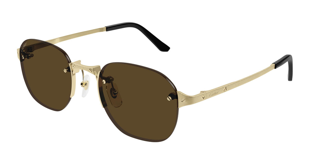 Cartier CT0459S 006 53