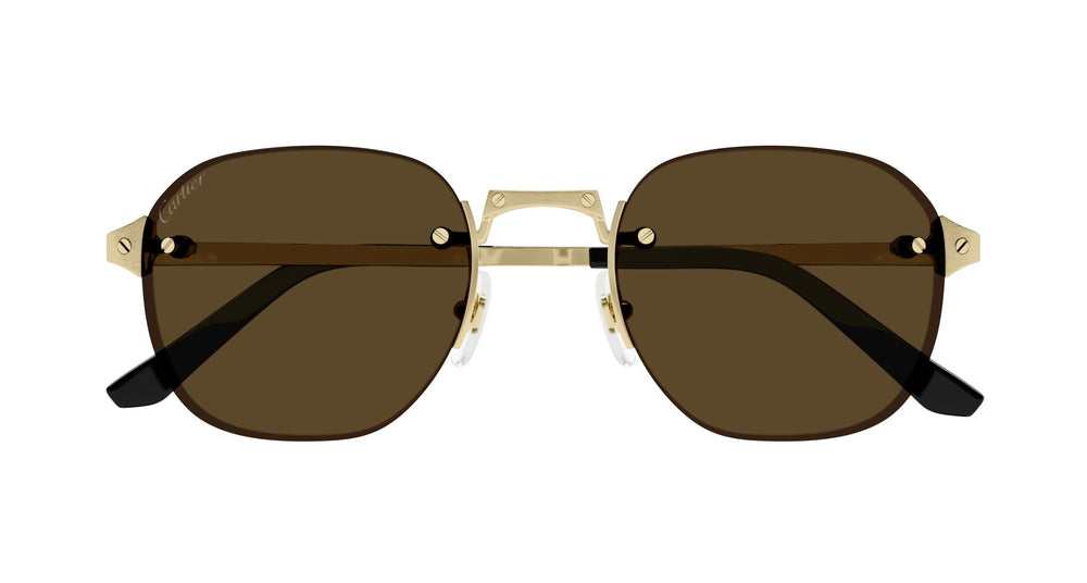Cartier CT0459S 006 53