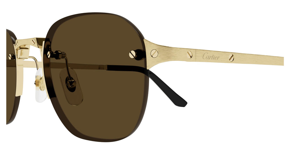 Cartier CT0459S 006 53