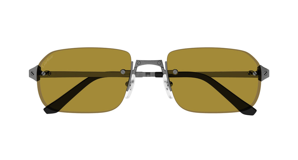Cartier CT0460S 004 56