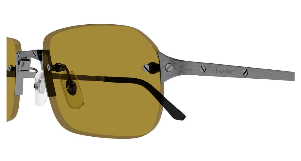 Cartier CT0460S 004 56