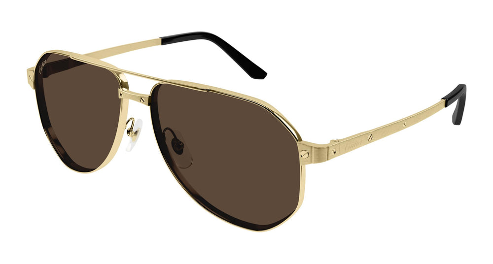 Cartier CT0461S 004 60