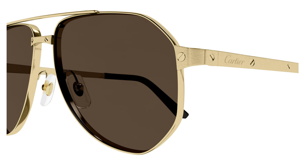 Cartier CT0461S 004 60