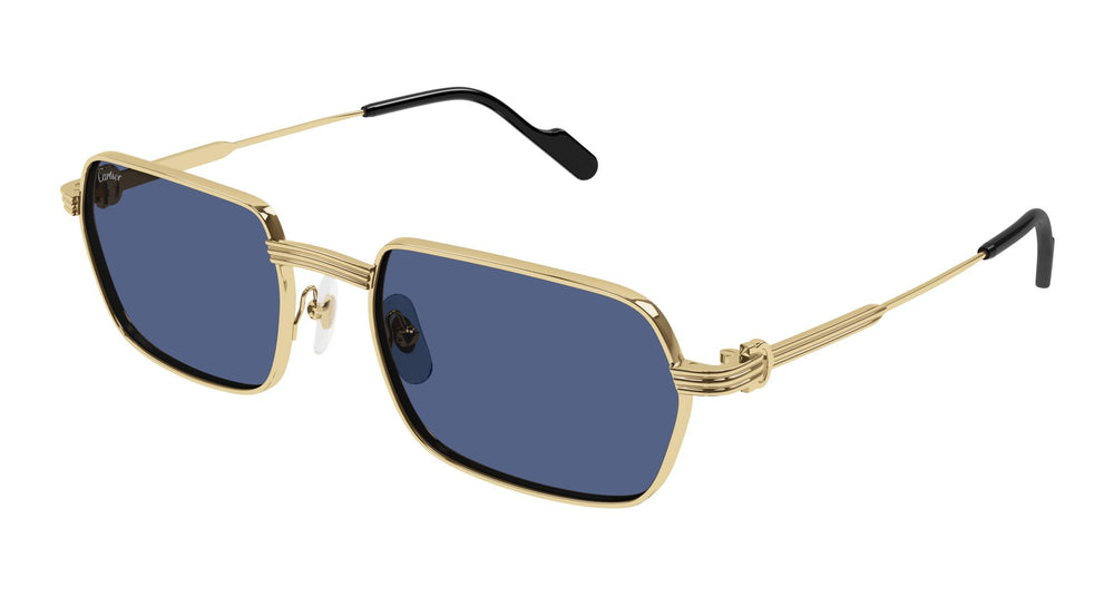 Cartier CT0463S 003 56