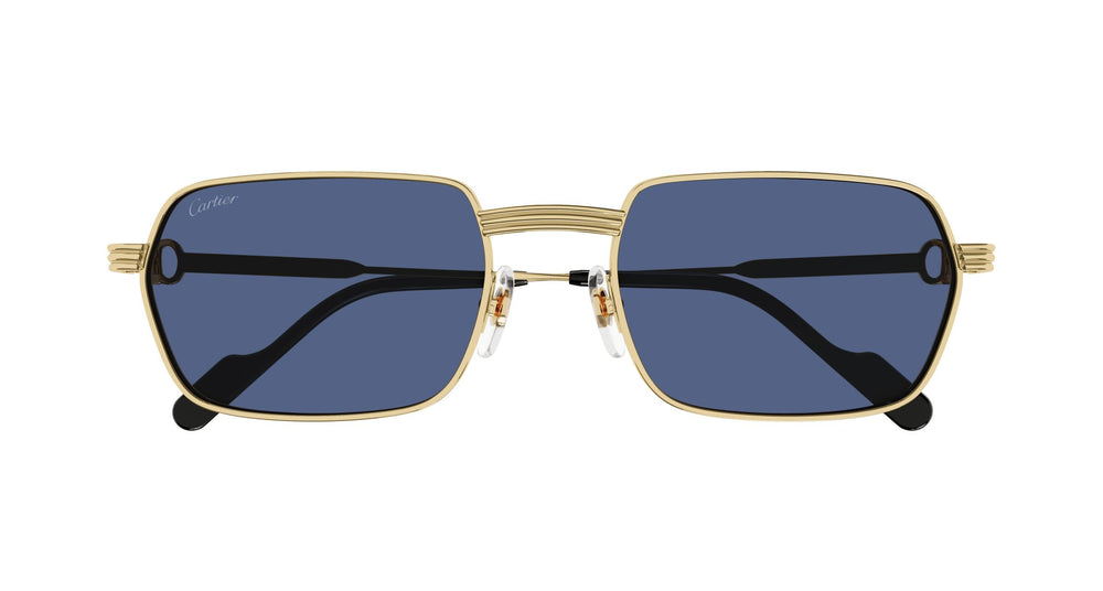 Cartier CT0463S 003 56
