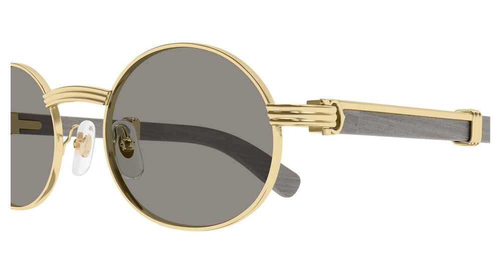 Cartier CT0464S 019 53