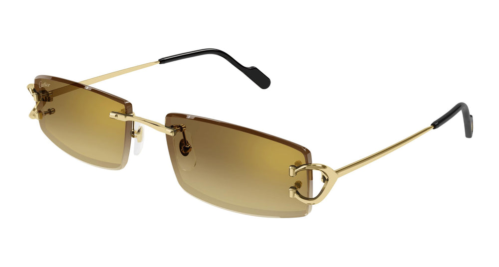 Cartier CT0465S 004 56