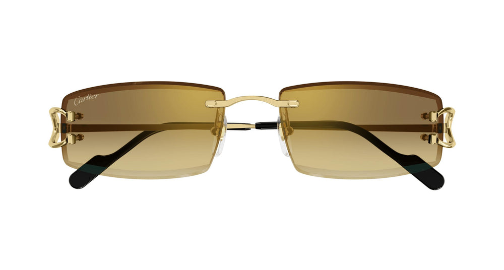 Cartier CT0465S 004 56