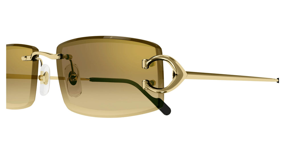 Cartier CT0465S 004 56
