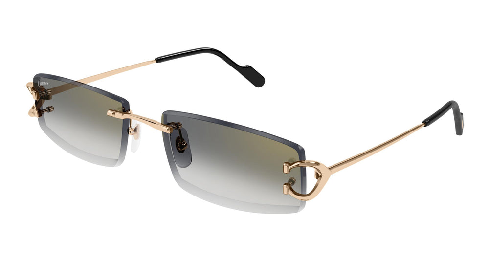 Cartier CT0465S 009 56
