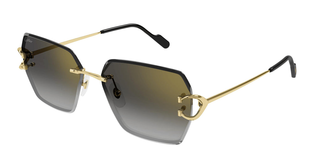 Cartier CT0466S 001 58