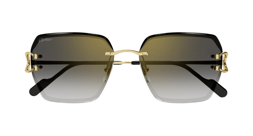 Cartier CT0466S 001 58