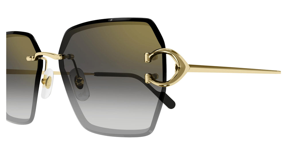 Cartier CT0466S 001 58