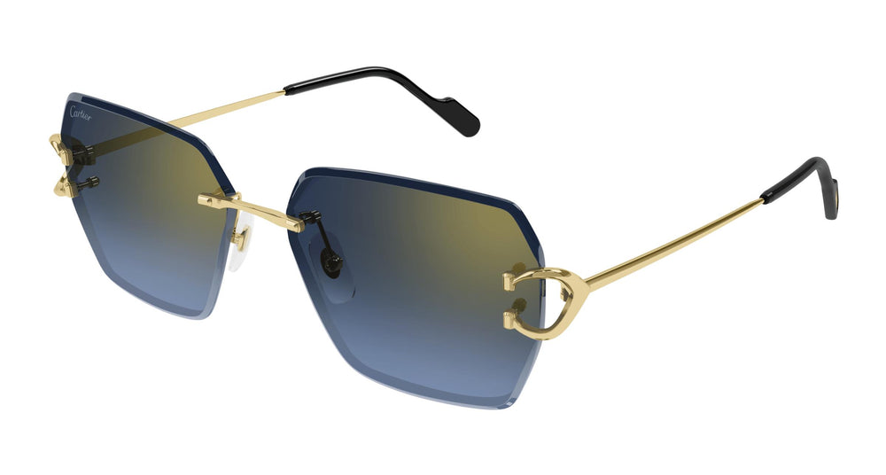 Cartier CT0466S 002 58