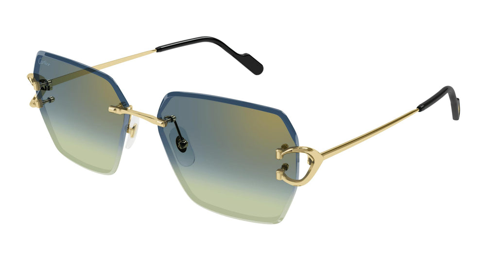 Cartier CT0466S 003 58