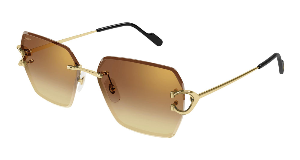 Cartier CT0466S 004 58