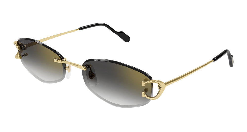 Cartier CT0467S 001 57