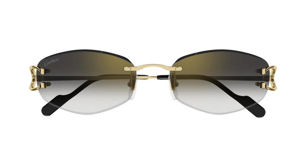 Cartier CT0467S 001 57