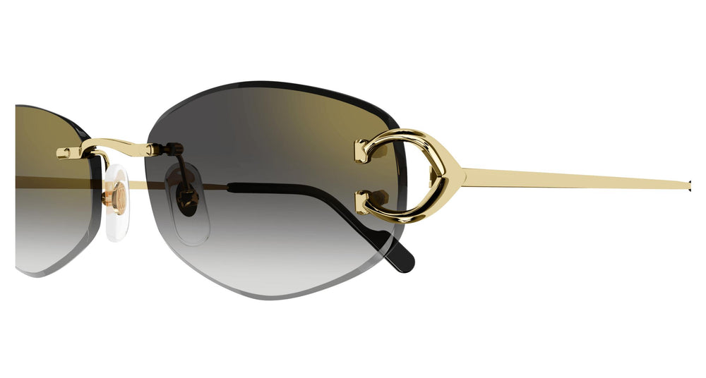 Cartier CT0467S 001 57
