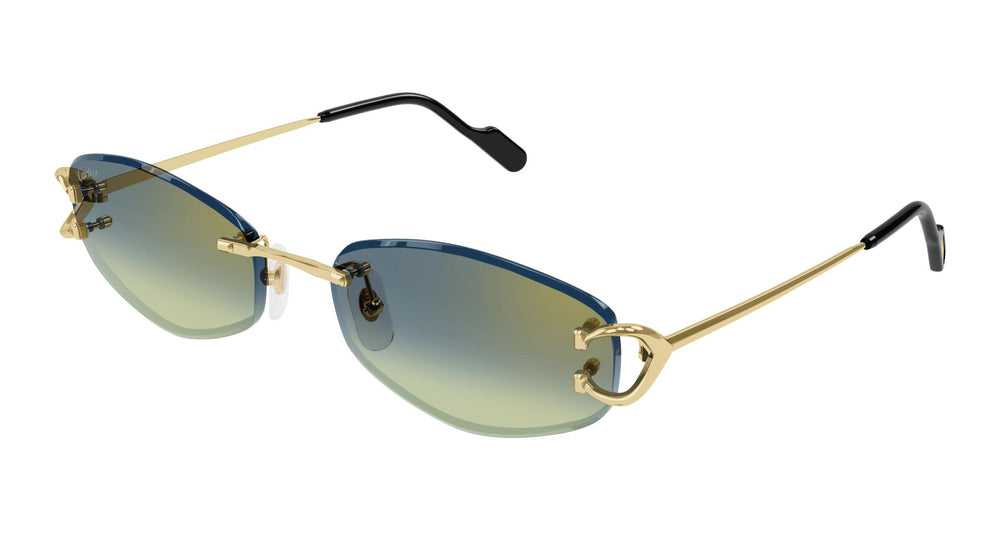 Cartier CT0467S 003 57