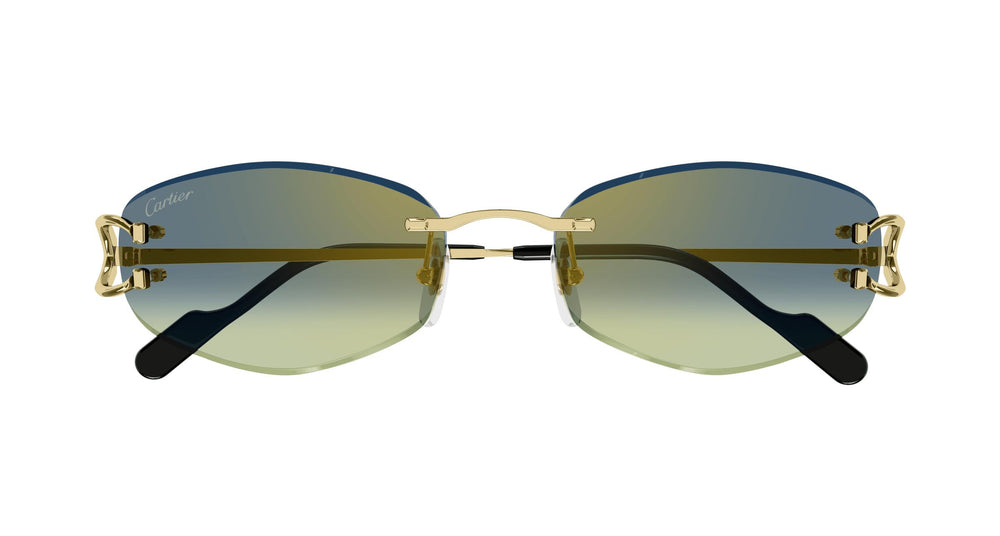 Cartier CT0467S 003 57