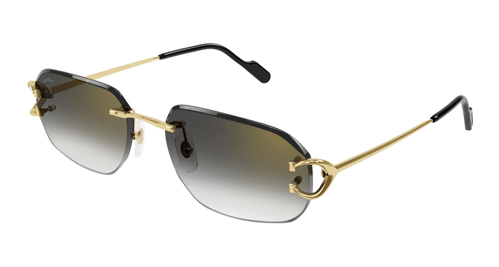 Cartier CT0468S 001 58