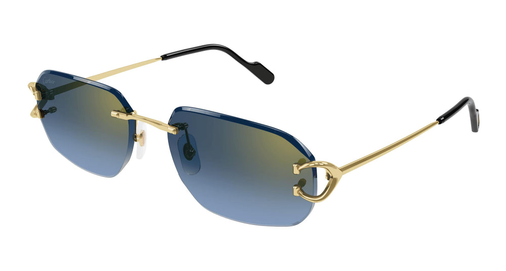 Cartier CT0468S 002 58