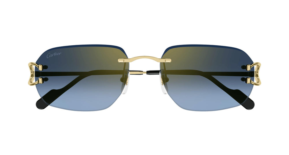 Cartier CT0468S 002 58