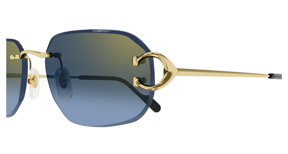 Cartier CT0468S 002 58