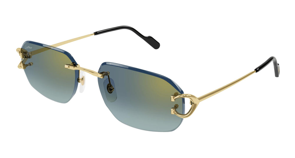 Cartier CT0468S 003 58