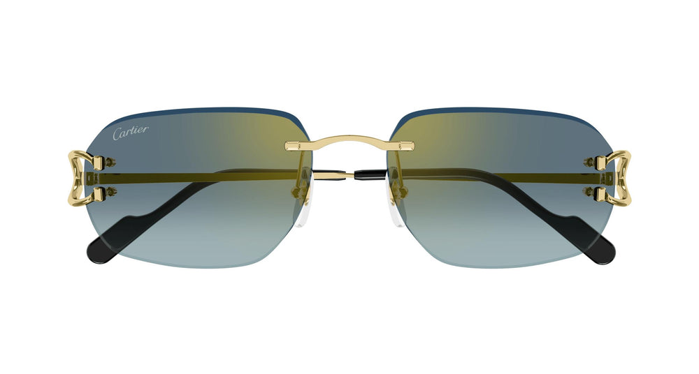 Cartier CT0468S 003 58