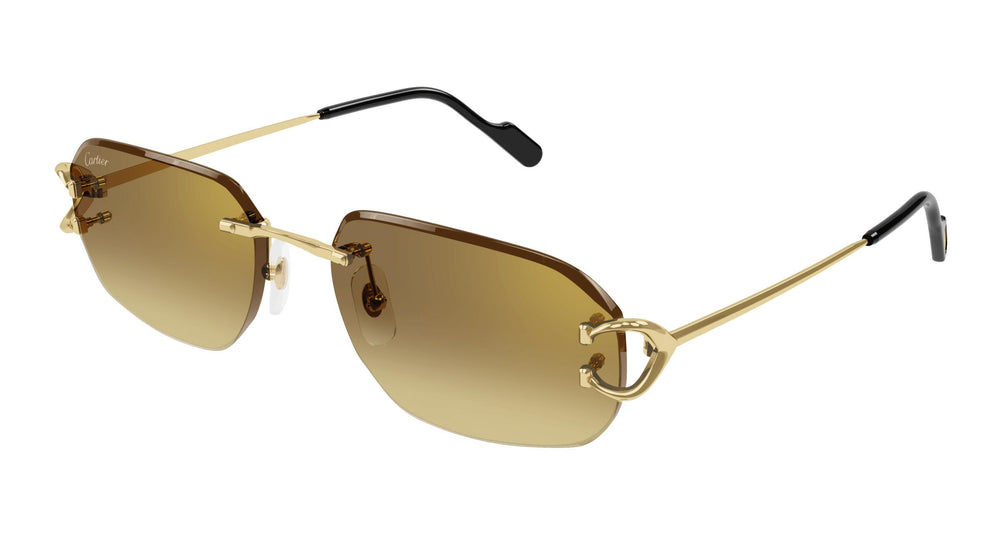 Cartier CT0468S 004 58