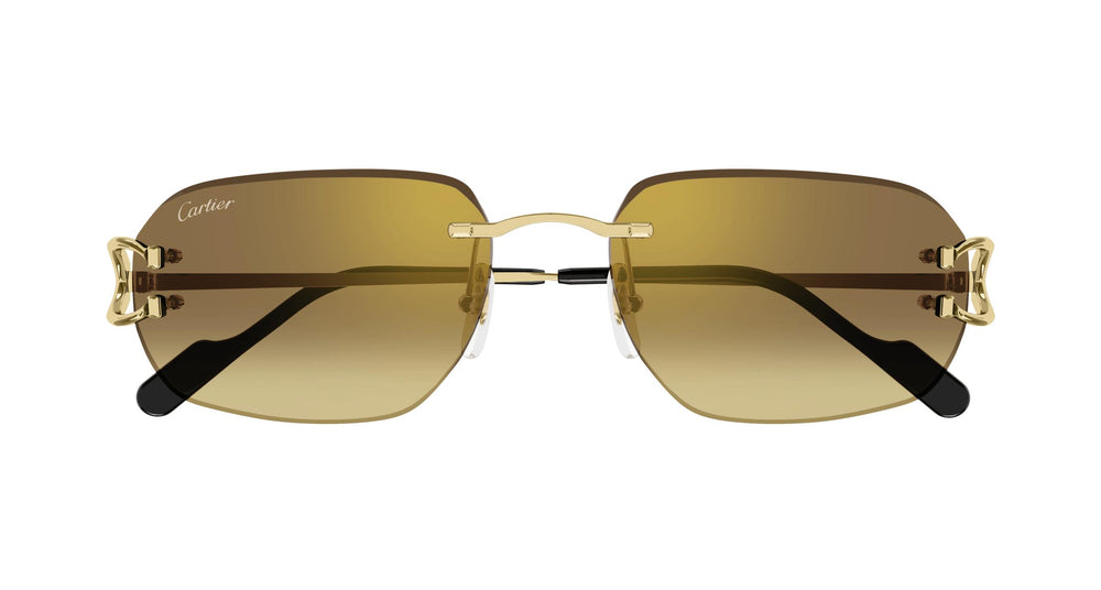 Cartier CT0468S 004 58