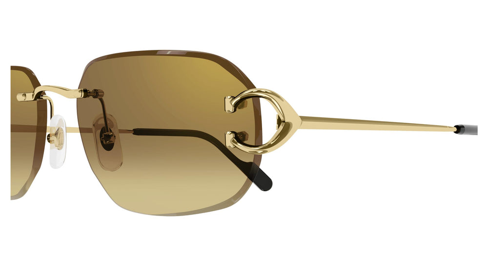 Cartier CT0468S 004 58