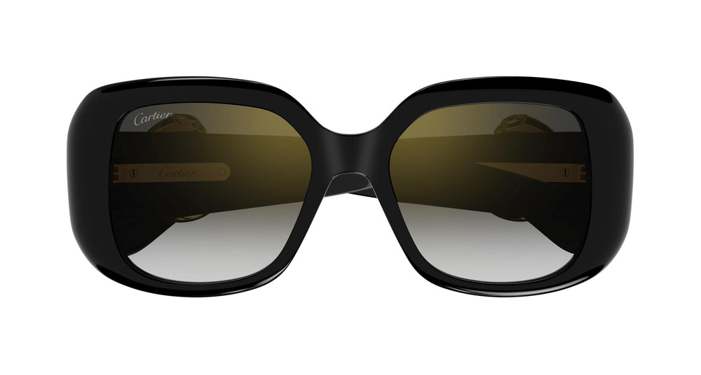 Cartier CT0471SA 001 54